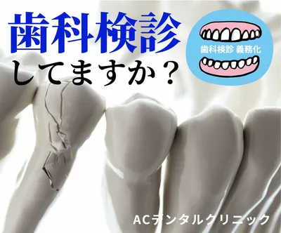 歯科検診してますか？（ひび割れ歯の模型）, バナー, 怖い, デンタルクリニック, バナーテンプレート