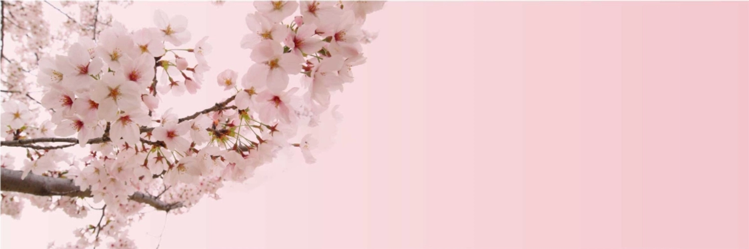枝先の桜, ツイッター, ヘッダー, 風景, Twitterヘッダーテンプレート