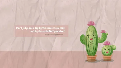 可愛いサボテン, Cactus, Foliage plant, plant, Desktop Wallpaper template