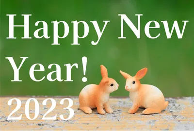 シュライヒ　自然を背景に2匹のうさぎ　HAPPY NEW YEAR, happy, new, year, 年賀状テンプレート
