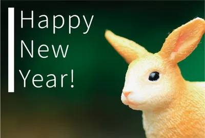 シュライヒ　うさぎアップ　縦の白ライン, happy, new, year, 年賀状テンプレート