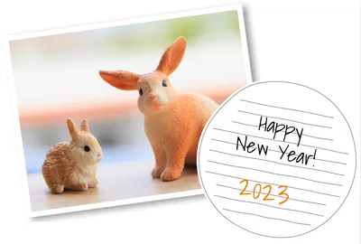 シュライヒ　写真風の2匹のうさぎ　円でHAPPY NEW YEAR, happy, new, year, 年賀状テンプレート