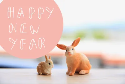 シュライヒ　2匹のうさぎ　ピンクの円にHAPPY NEW YEAR, happy, new, year, 年賀状テンプレート