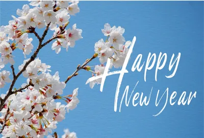 年賀状　桜, HAPPY NEW YEAR, Cherry blossoms, spring, New Year Card template