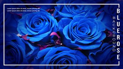 Zoom Virtual Background template 3129, Rose, rose, Rose, Zoom Virtual Background template