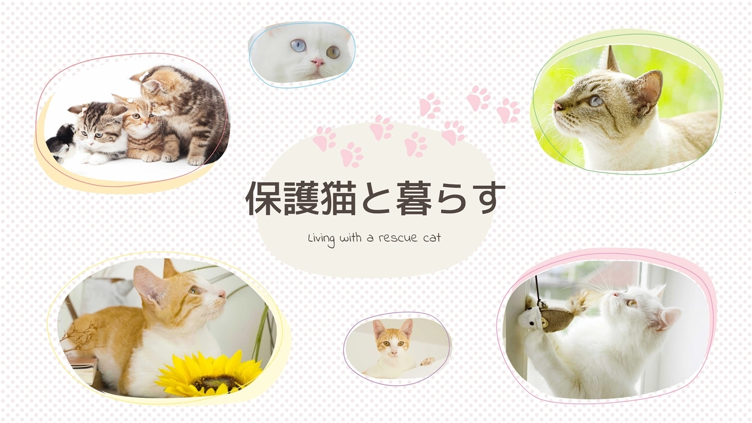 保護猫と暮らす（足跡イラストと写真）, Photo, small, weak, Blog Banner template