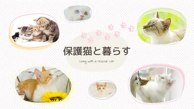 保護猫と暮らす（足跡イラストと写真）, edit, design, create, Blog Banner template
