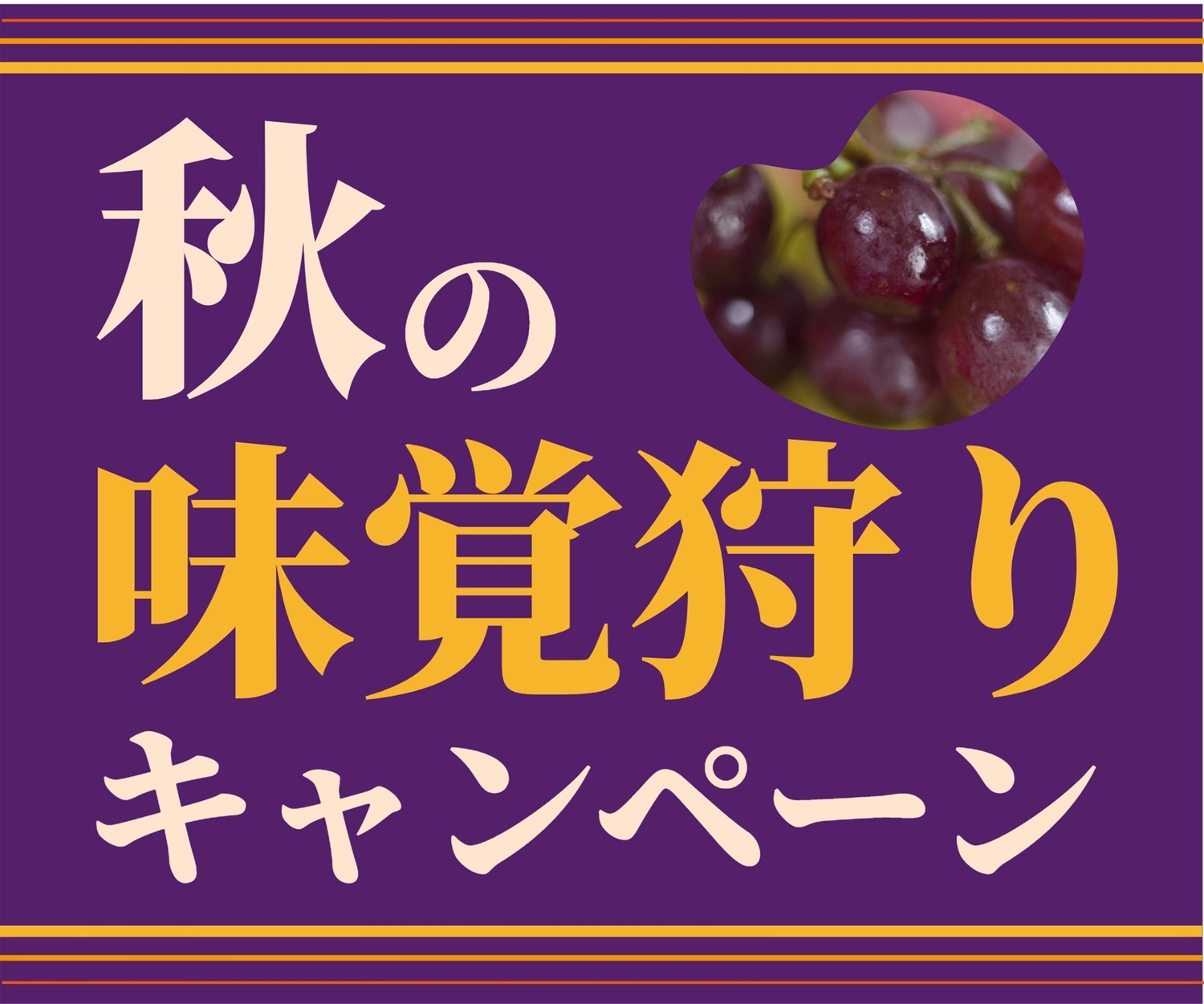 秋の味覚狩りキャンペーン（ぶどう写真）, フルーツ, 果物, 味覚狩り, バナーテンプレート