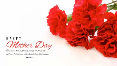 母の日の赤いカーネーション, カーネーション, 花, お花, デスクトップの壁紙テンプレート
