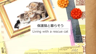 保護猫と暮らそう（イラストと猫の写真）, 編集, デザイン, 作成, ブログのアイキャッチテンプレート