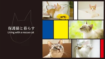 保護猫と暮らす（おしゃれなデザイン）, edit, design, create, Blog Banner template