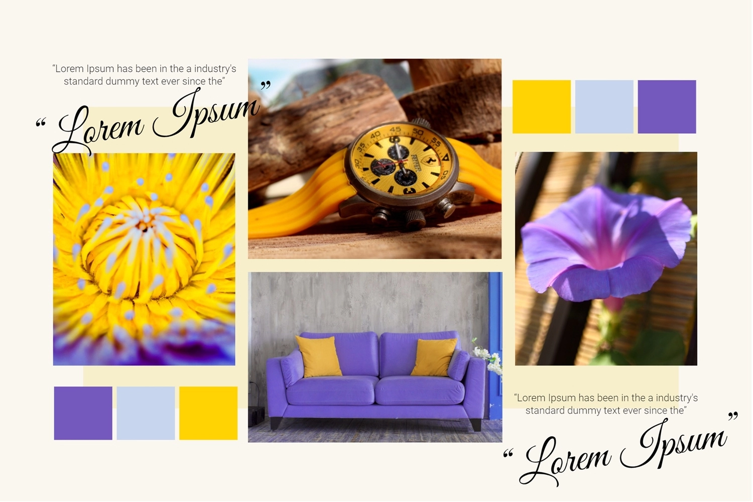 紫と黄色の花, 朝顔, 作成, デザイン, 写真のコラージュテンプレート
