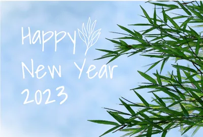 年賀状　晴天, HAPPY NEW YEAR, null, leaf, New Year Card template