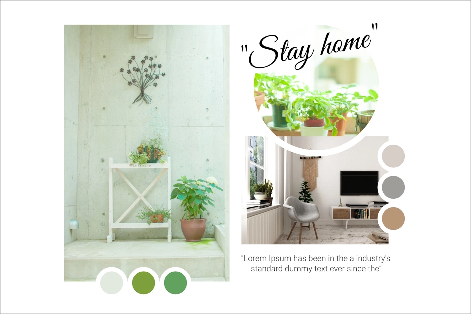 さわやかな部屋, 観葉植物, 作成, デザイン, 写真のコラージュテンプレート
