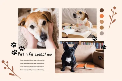 マイドッグ, Photo, collage, Pets, Photo Collage template