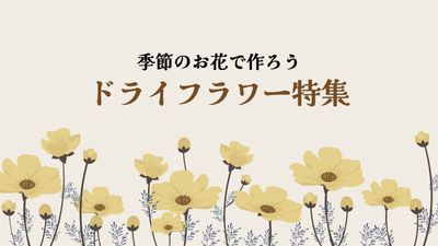 ドライフラワー特集, Dried flower, flower, Flower, Blog Banner template